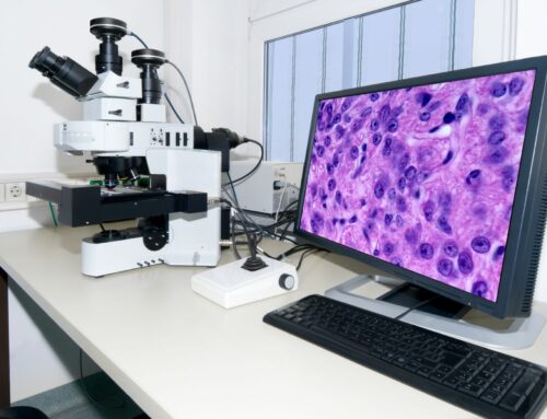 HealthTech Companies Partner to Digitize 1.5 Million Pathology Slides
